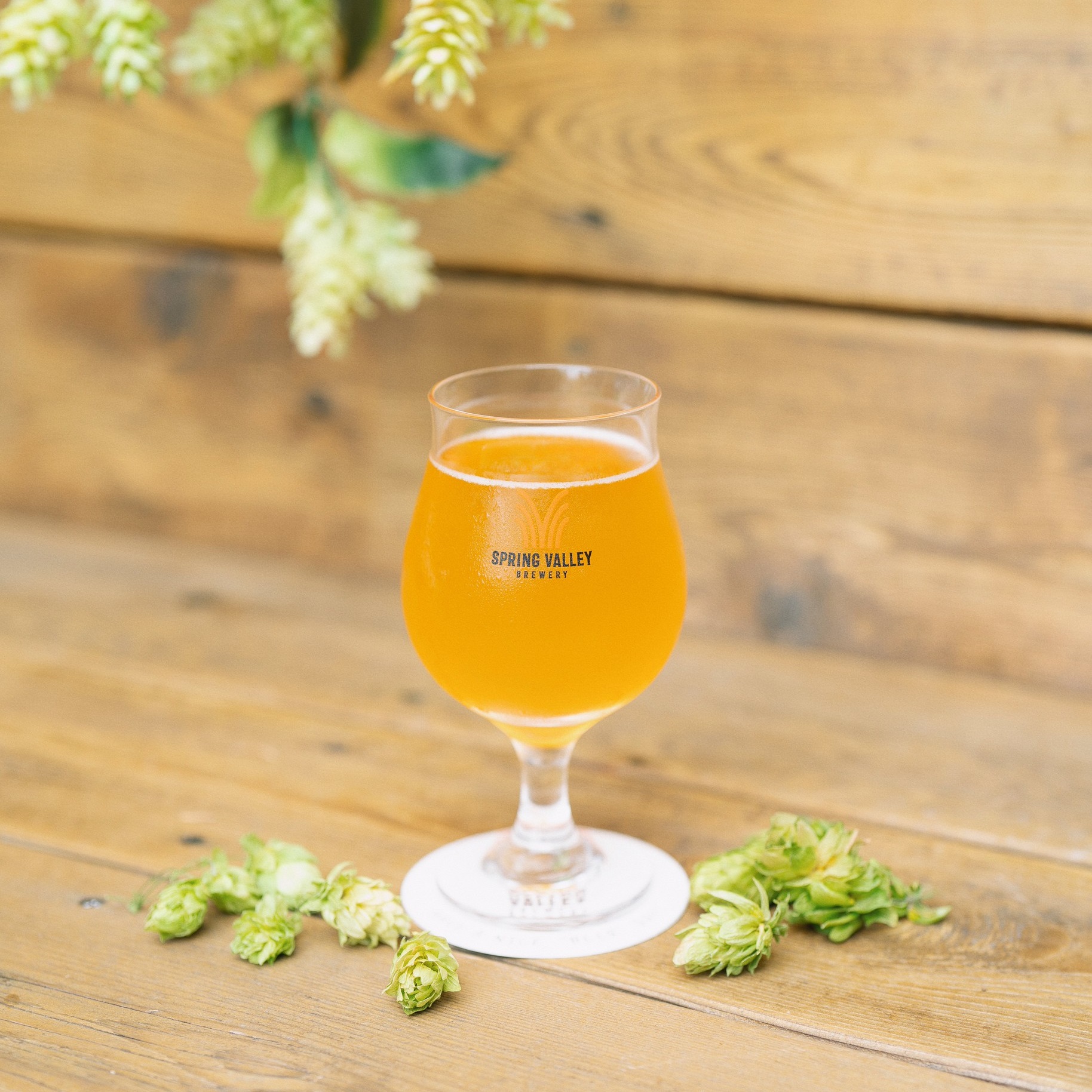 冬限定】 「SPRING VALLEY 華やぐ冬＜香＞」の発売を記念し